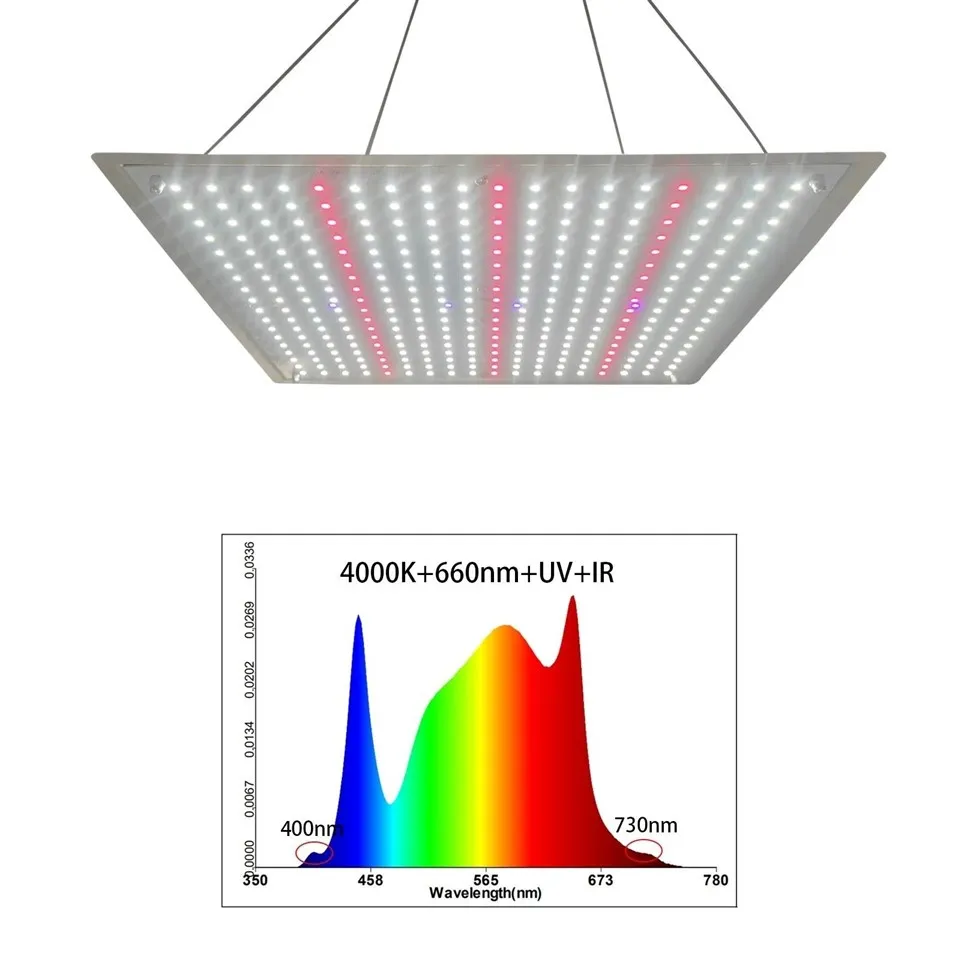 Quantum Board Grow Light 02(001)